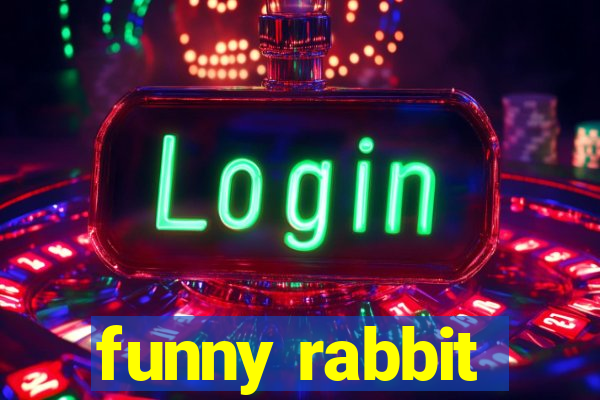 funny rabbit