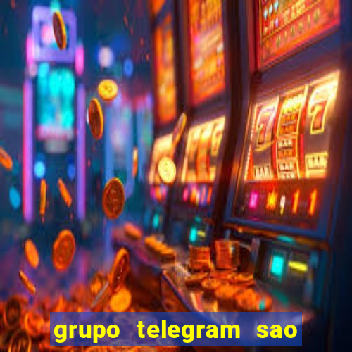 grupo telegram sao jose do rio preto