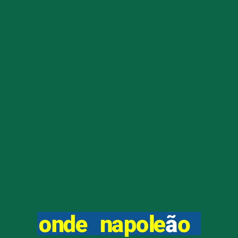 onde napoleão perdeu a guerra