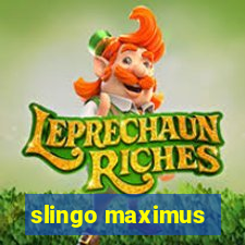 slingo maximus