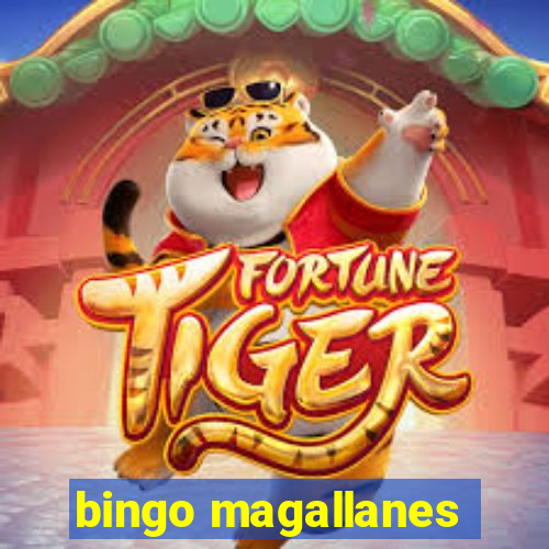 bingo magallanes