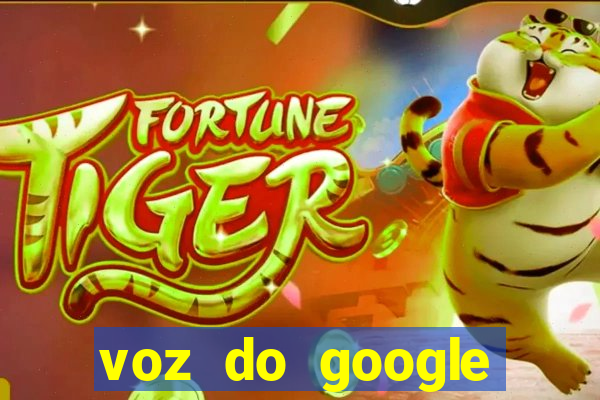 voz do google tradutor homem