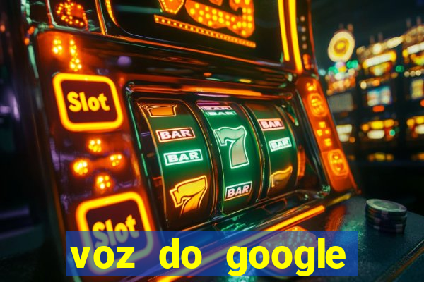 voz do google tradutor homem