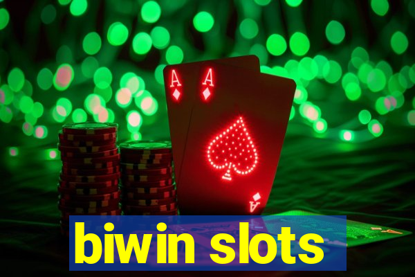 biwin slots