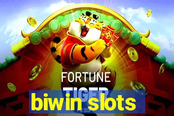 biwin slots