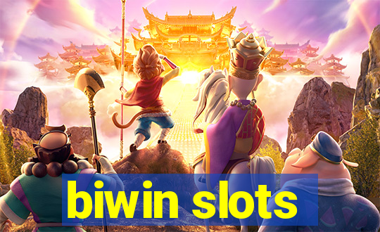 biwin slots