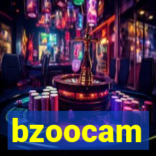 bzoocam