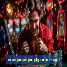 orangotango gigante mogli