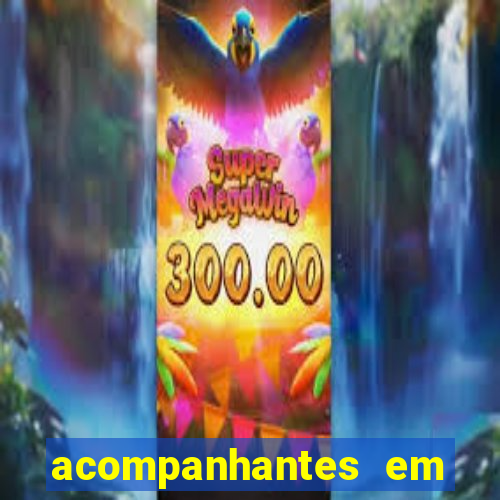 acompanhantes em porto velho