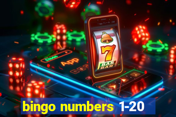 bingo numbers 1-20