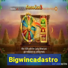 Bigwincadastro