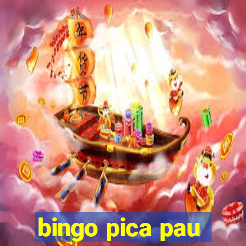 bingo pica pau