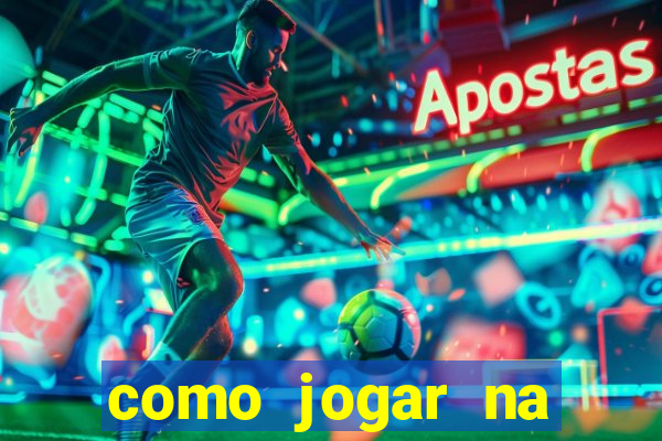 como jogar na lotinha do jogo do bicho