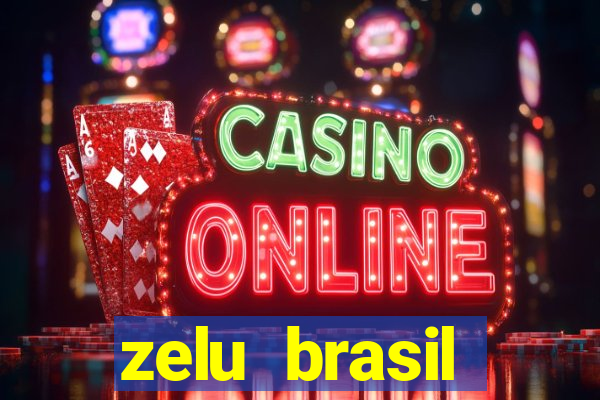 zelu brasil facilitadora de pagamentos ltda jogos