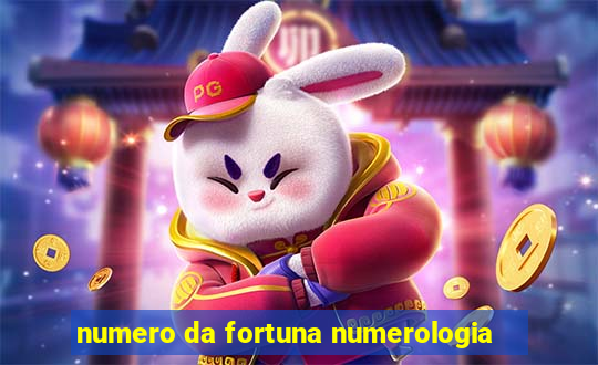 numero da fortuna numerologia