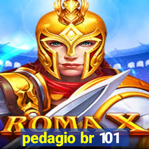 pedagio br 101