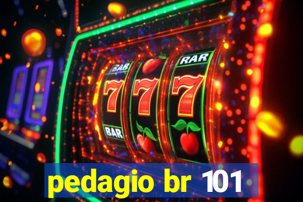 pedagio br 101