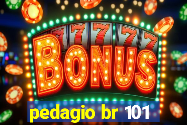 pedagio br 101