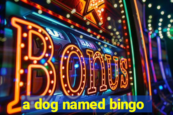 a dog named bingo