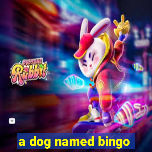 a dog named bingo