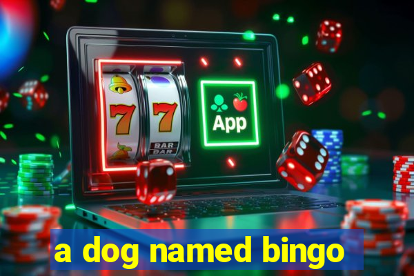 a dog named bingo