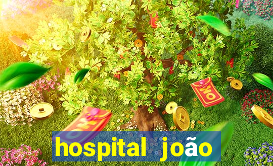 hospital joão paulo zona norte fechou