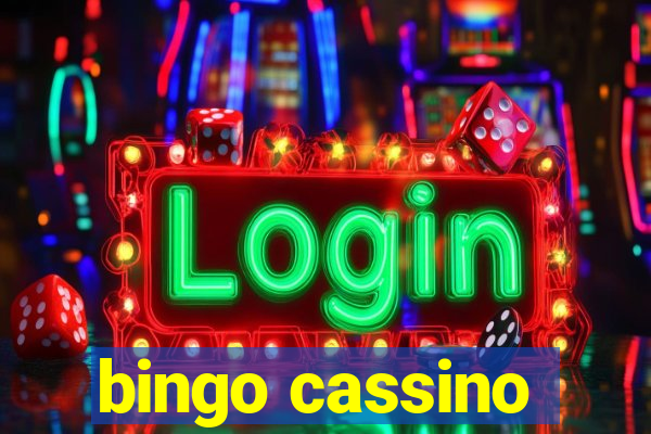 bingo cassino