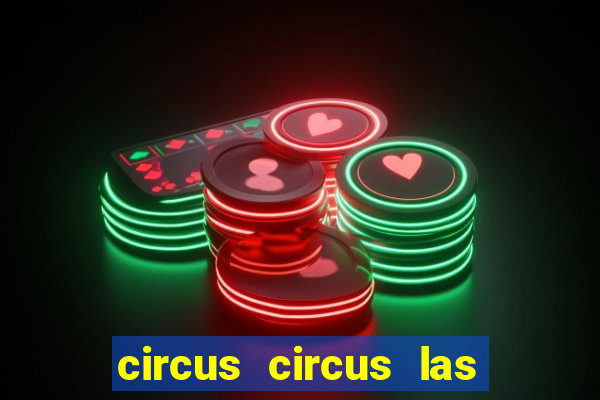 circus circus las vegas hotel & casino