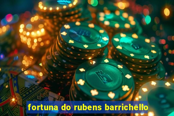 fortuna do rubens barrichello