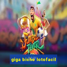 giga bicho lotofacil