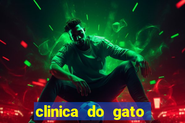 clinica do gato porto alegre