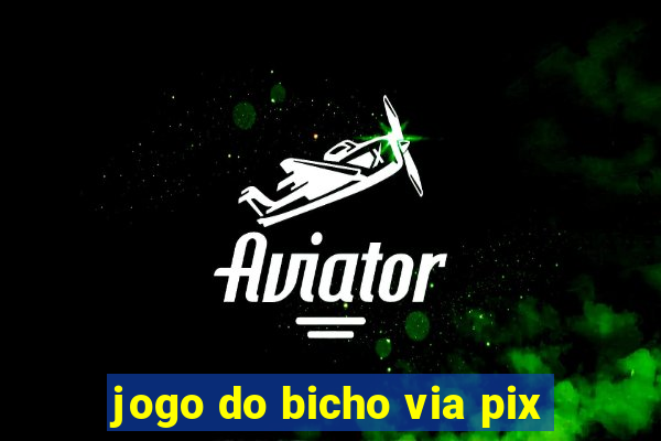 jogo do bicho via pix