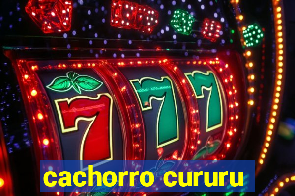 cachorro cururu