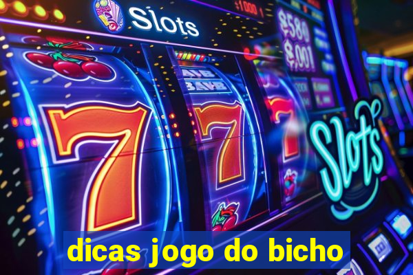 dicas jogo do bicho