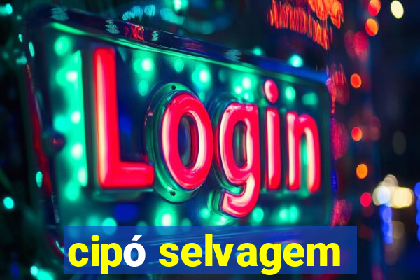 cipó selvagem