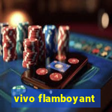 vivo flamboyant