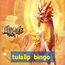 tulalip bingo casino review