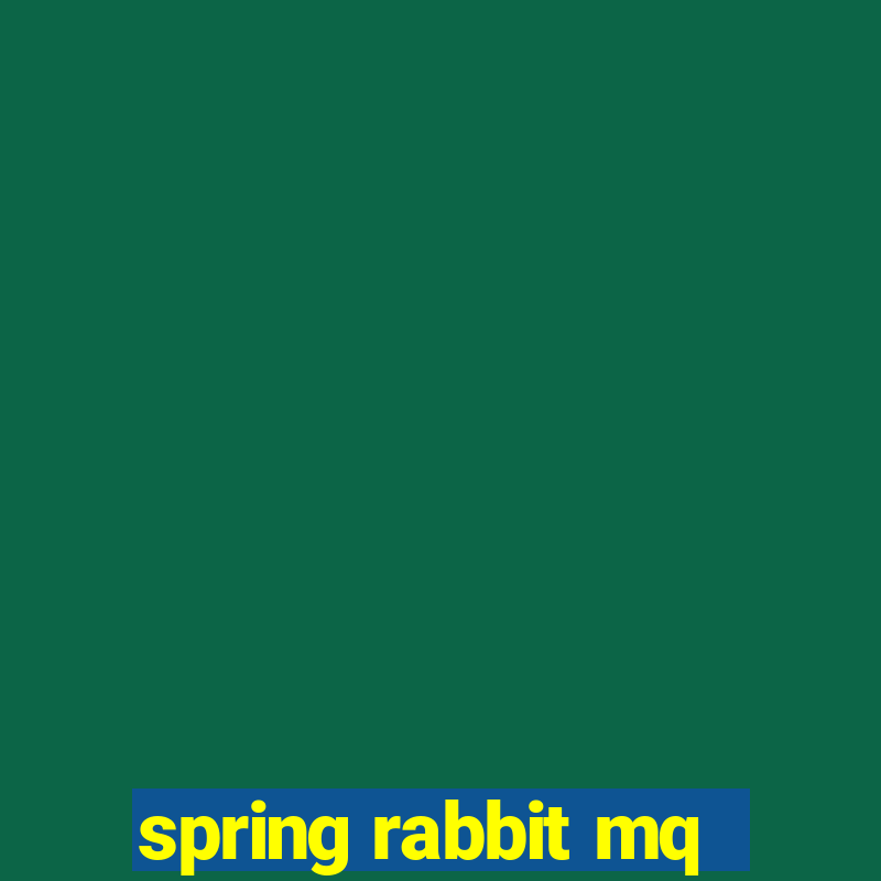 spring rabbit mq