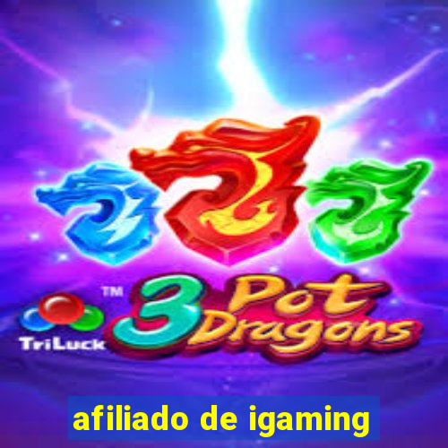 afiliado de igaming