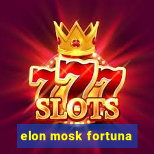 elon mosk fortuna