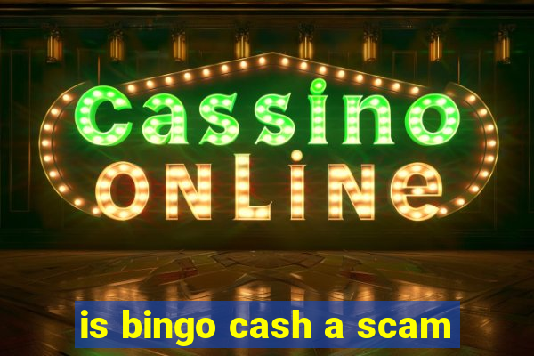 is bingo cash a scam