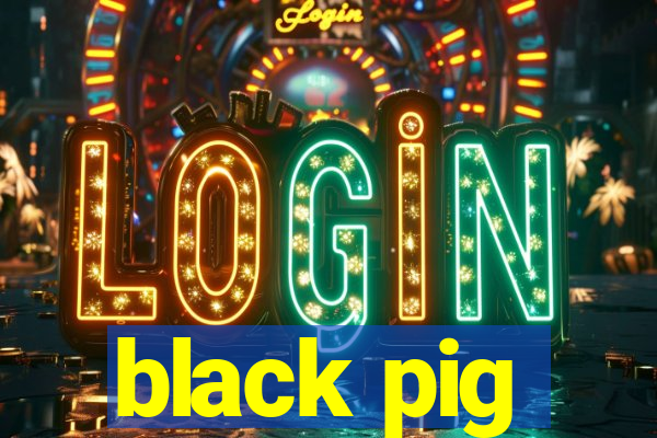 black pig