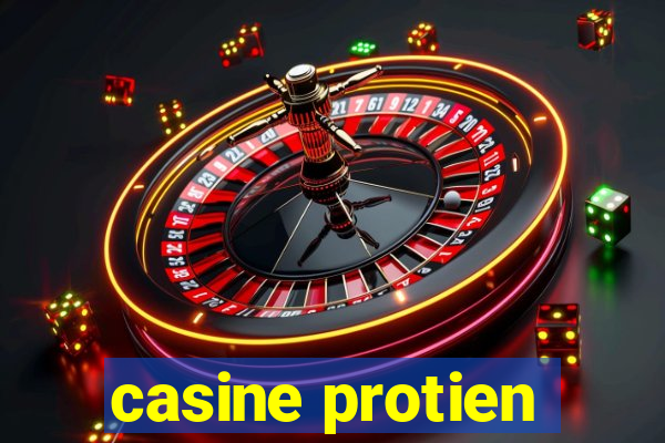 casine protien