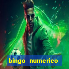 bingo numerico educa??o infantil