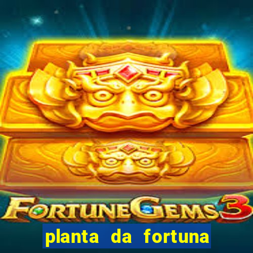 planta da fortuna e felicidade