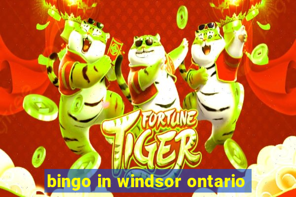 bingo in windsor ontario