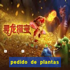 pedido de plantas stardew valley