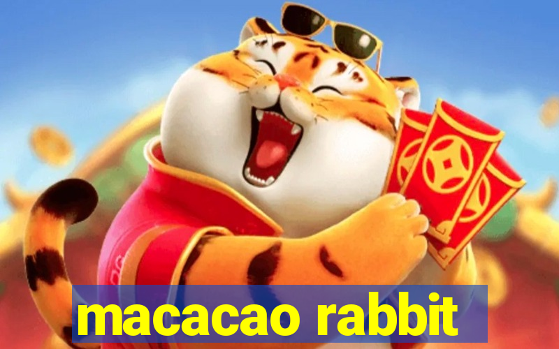 macacao rabbit