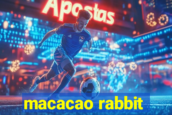 macacao rabbit