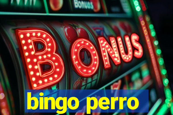 bingo perro